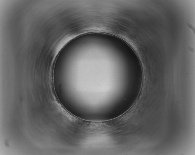 X0000101701056200807101532