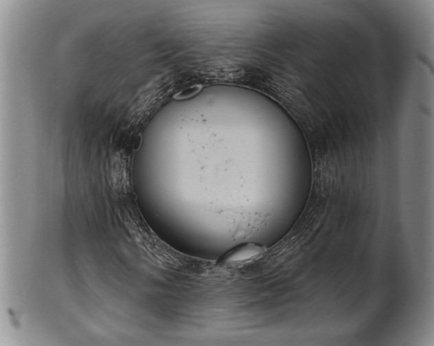 X0000101701058200807101531