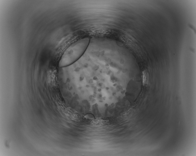 X0000101701059200807101531