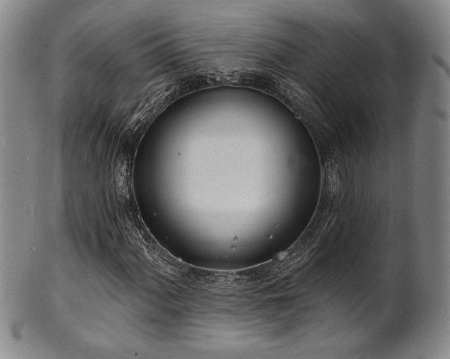 X0000101701060200807101531