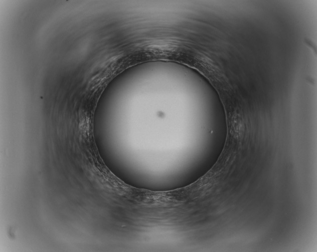 X0000101701061200807101531