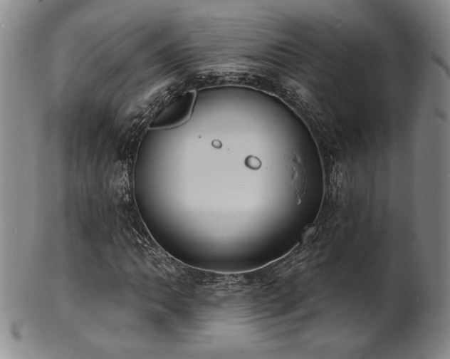 X0000101701062200807101531