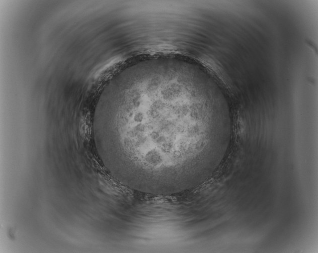 X0000101701063200807101531