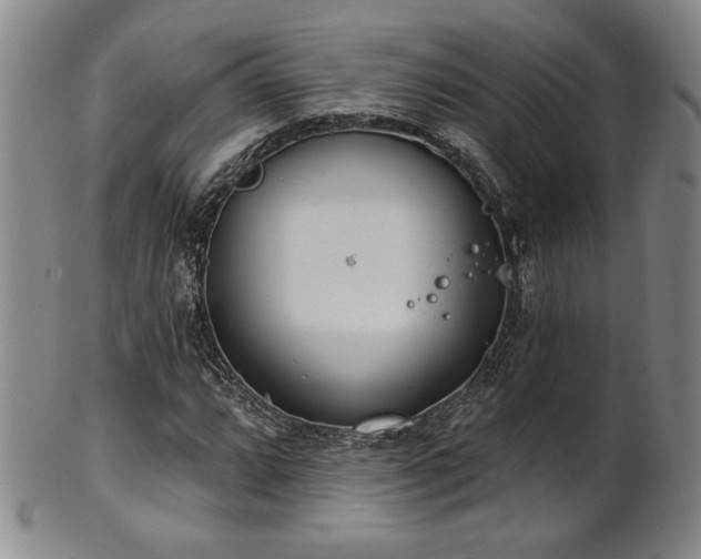 X0000101701064200807101531