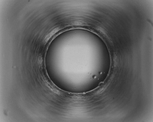 X0000101701065200807101531