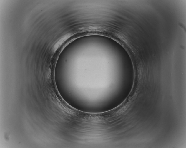 X0000101701066200807101531