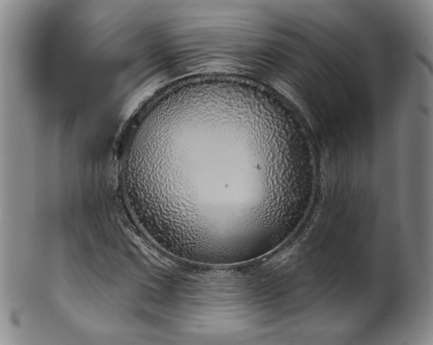 X0000101701067200807101531