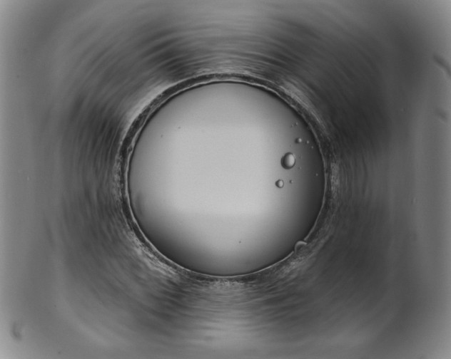 X0000101701068200807101531