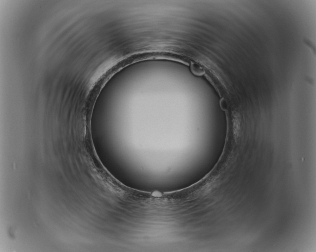 X0000101701069200807101531