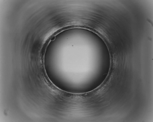 X0000101701070200807101531