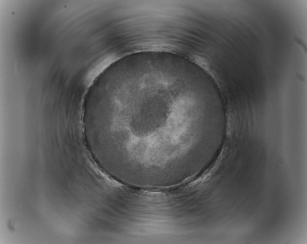 X0000101701071200807101531