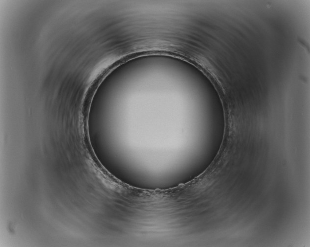 X0000101701072200807101531