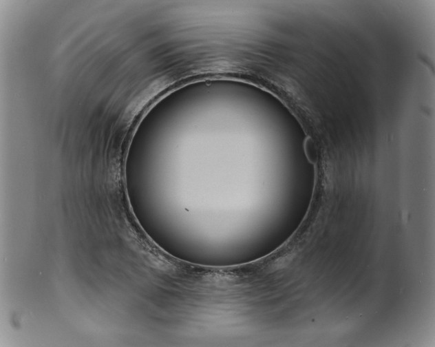 X0000101701073200807101531