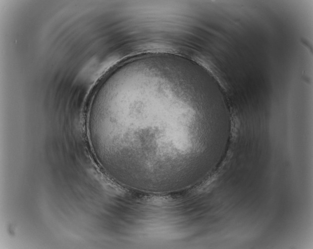 X0000101701074200807101531