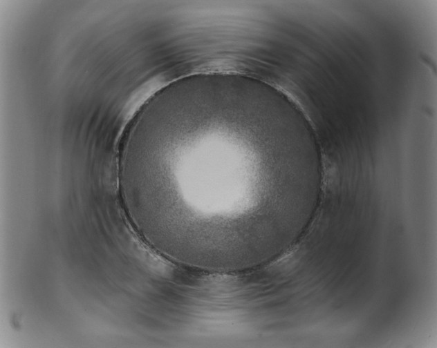 X0000101701075200807101531