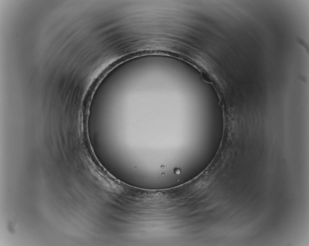X0000101701076200807101531