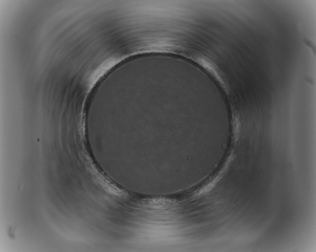 X0000101701077200807101531