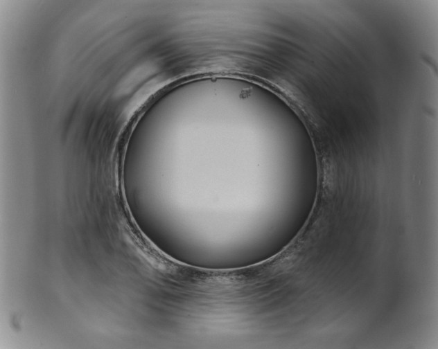 X0000101701078200807101531