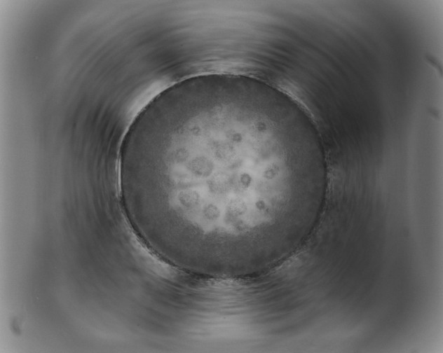 X0000101701079200807101531