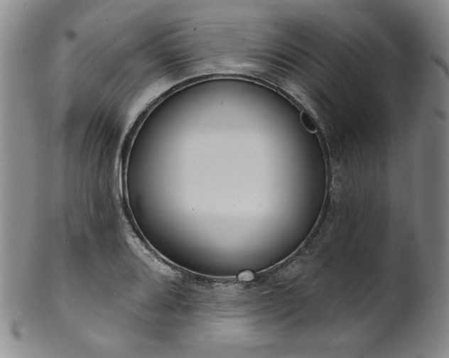 X0000101701080200807101531