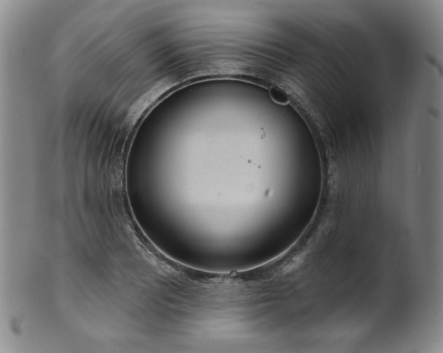X0000101701081200807101531
