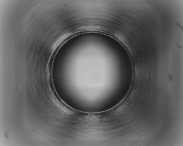 X0000101701082200807101531