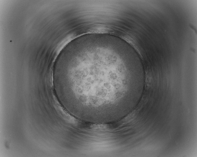 X0000101701083200807101531