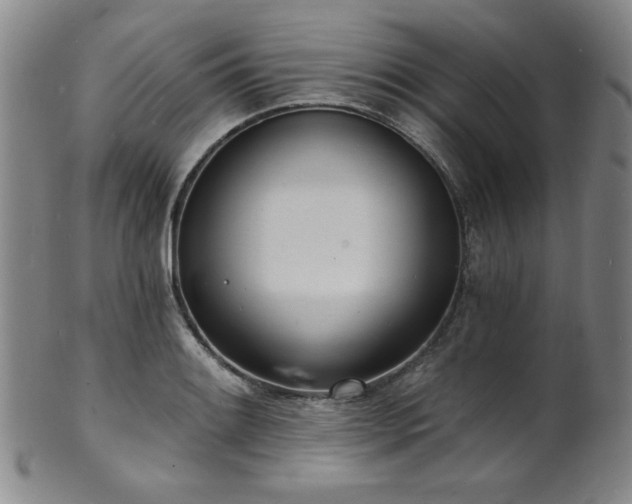 X0000101701084200807101531