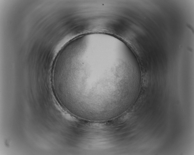 X0000101701086200807101531