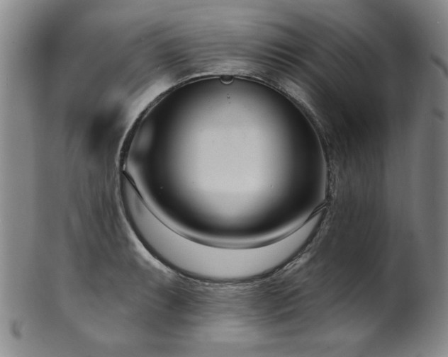 X0000101701087200807101531