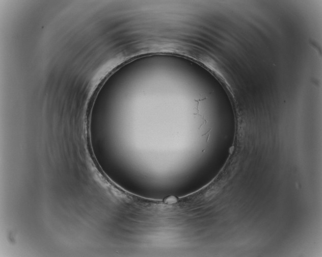 X0000101701088200807101531