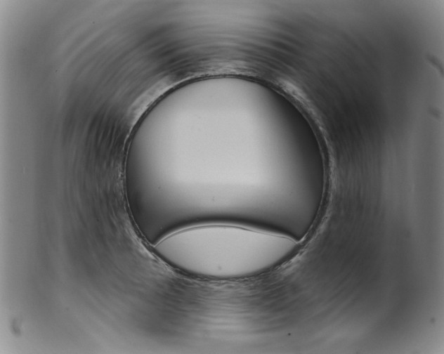 X0000101701089200807101531