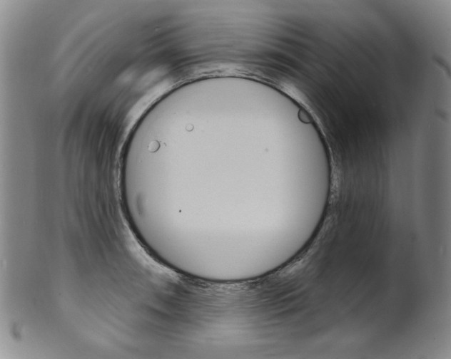 X0000101701090200807101531