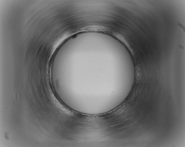 X0000101701091200807101531