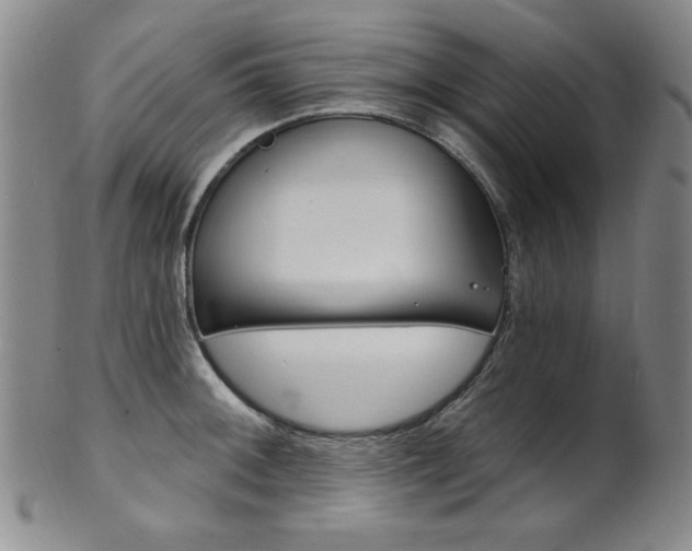 X0000101701092200807101531