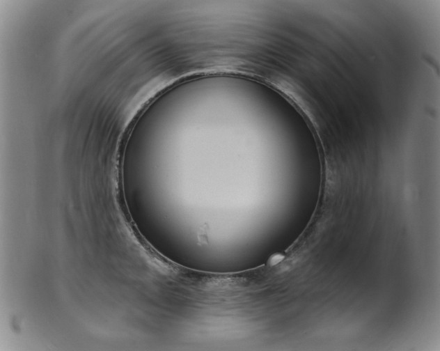 X0000101701093200807101531