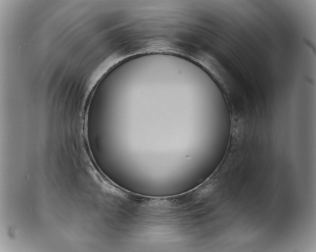 X0000101701094200807101531