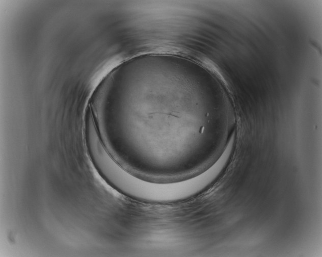 X0000101701095200807101531