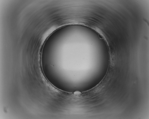 X0000101701096200807101531