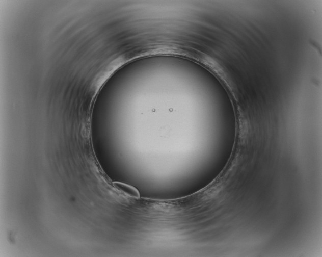 X0000101701097200807101531