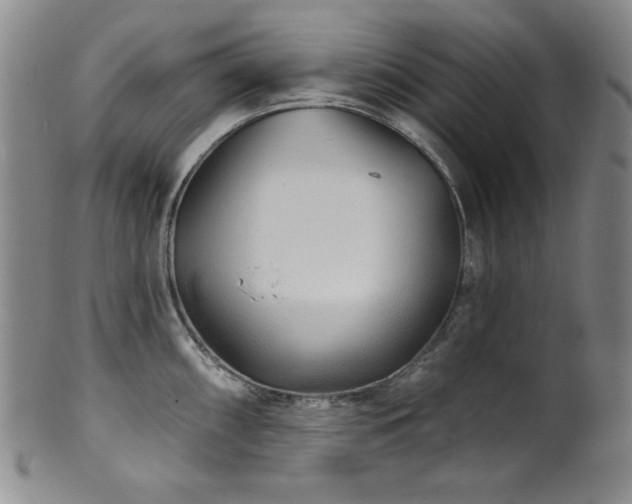 X0000101701098200807101531