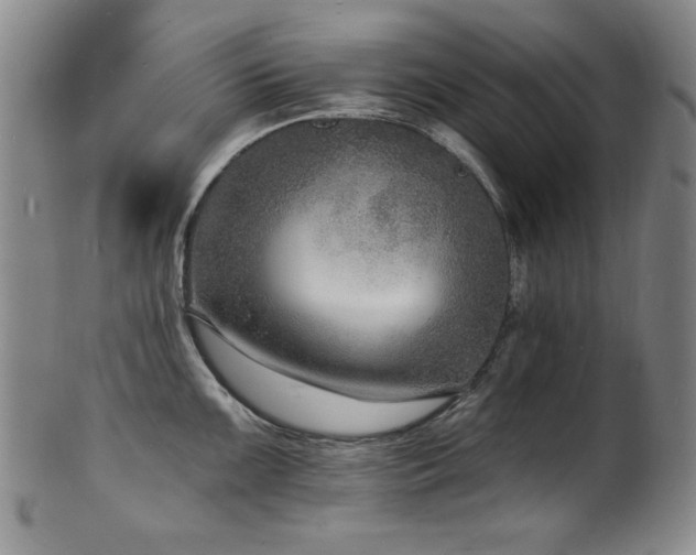 X0000101701099200807101531