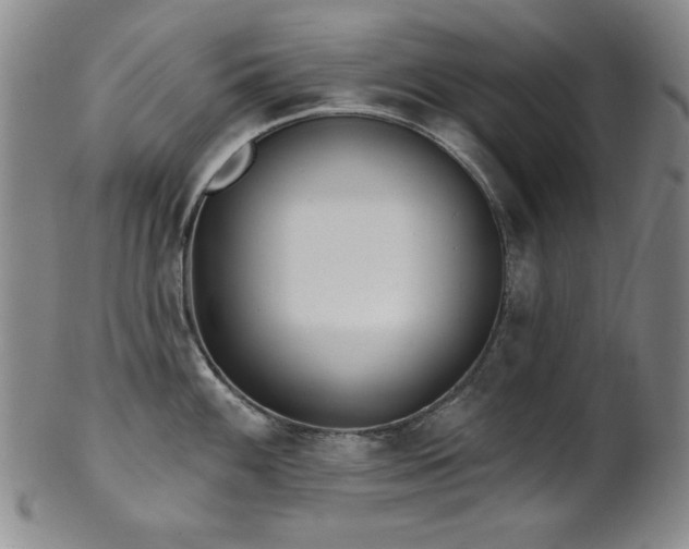 X0000101701100200807101531