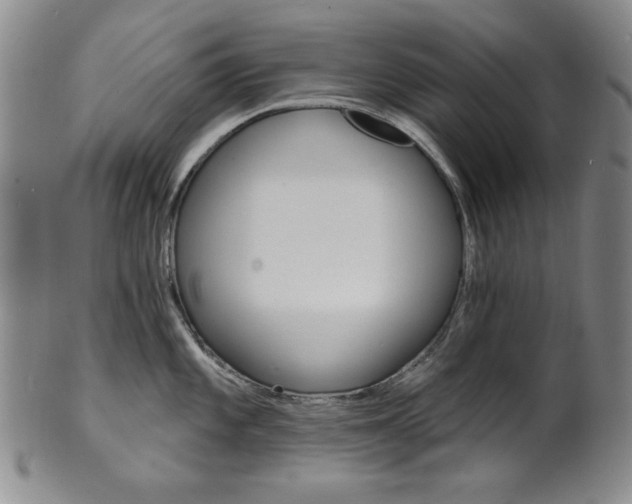 X0000101701101200807101531