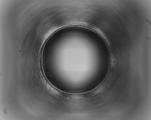 X0000101701102200807101531