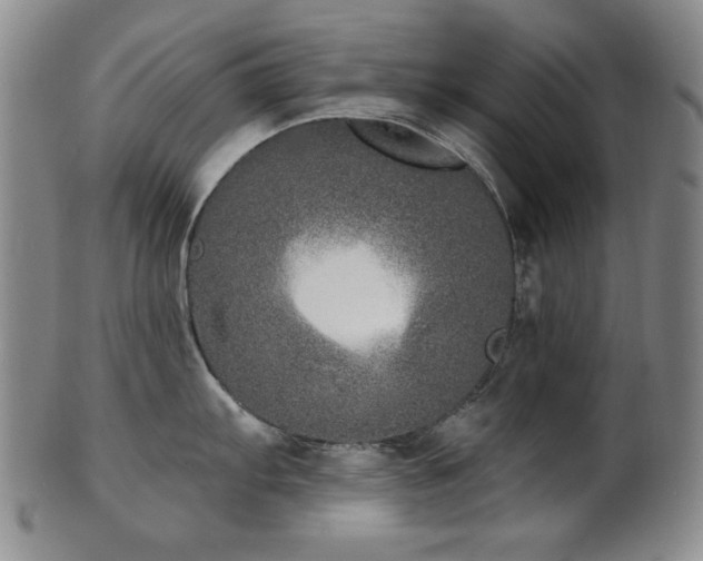 X0000101701103200807101531