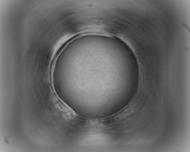 X0000101701104200807101531