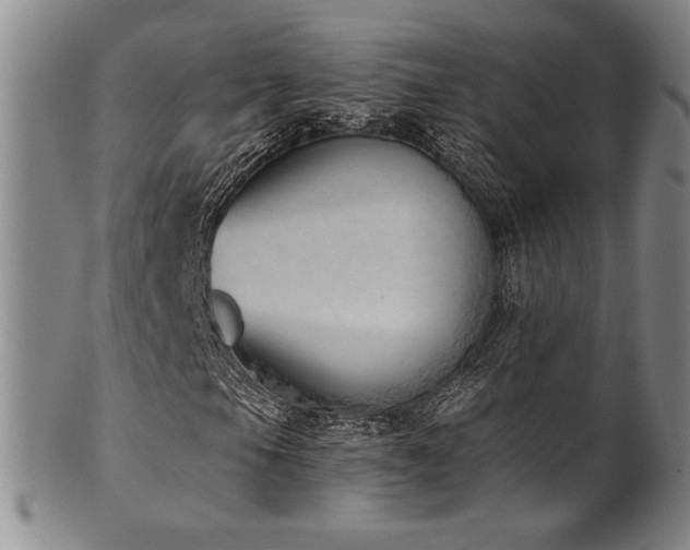 X0000101701105200807101530