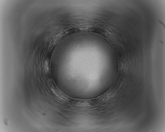 X0000101701106200807101530