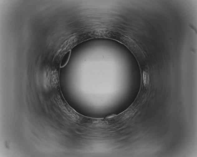 X0000101701107200807101530